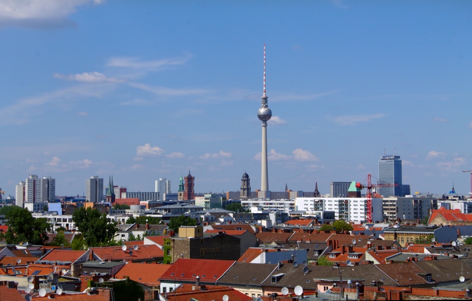 Estate agent Zwickau